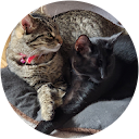 E. H. G. profile picture